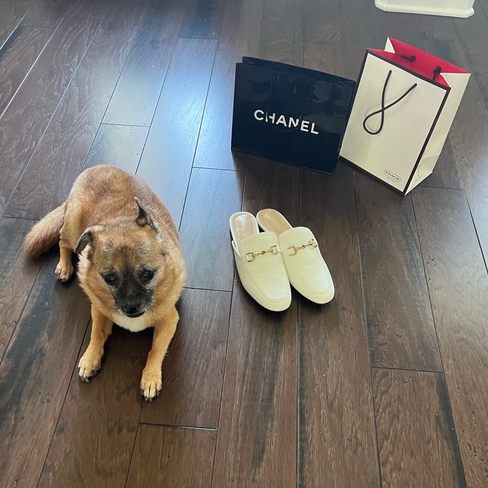 Cream horsebit mules size 39 US 8.5 SHEIN never worn!
